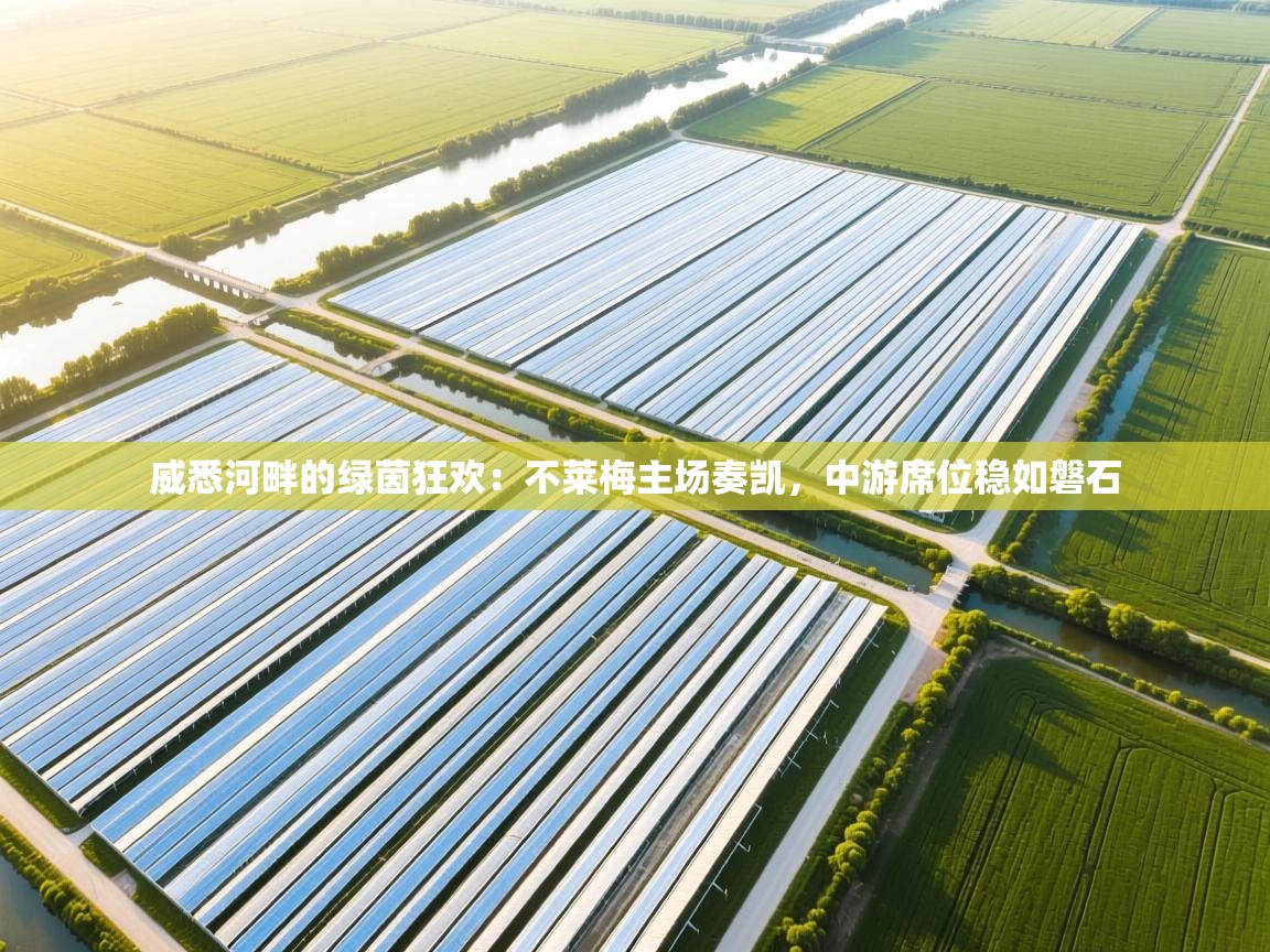 威悉河畔的绿茵狂欢：不莱梅主场奏凯，中游席位稳如磐石