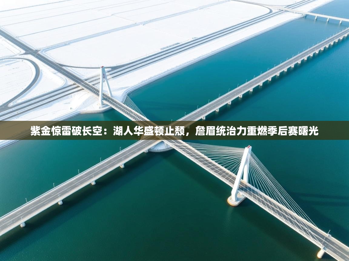 紫金惊雷破长空：湖人华盛顿止颓，詹眉统治力重燃季后赛曙光  第2张