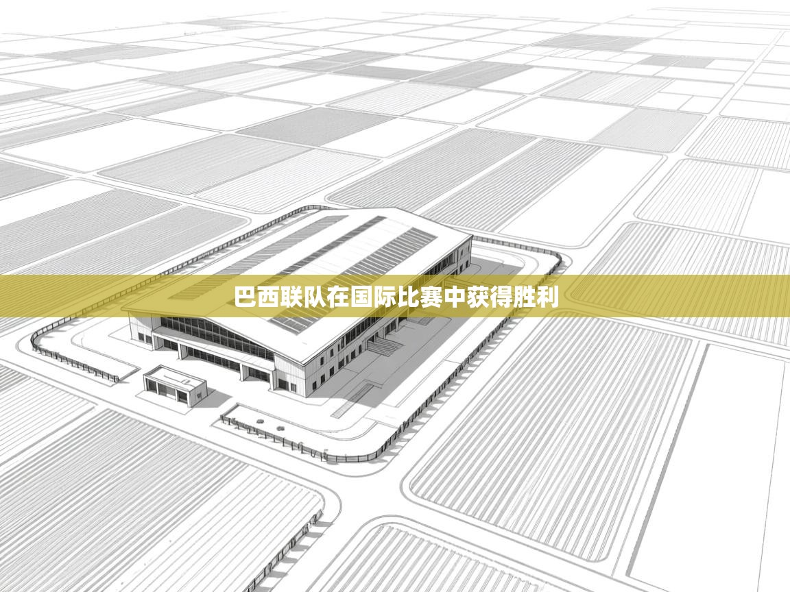 巴西联队在国际比赛中获得胜利